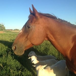 Meet your Posher, Traci